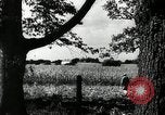 Standbild landwirtschaftlichen Tätigkeiten Southville Kentucky USA, 1950, aus Sekunde 39 historischem Filmmaterial Videoclip 65675029785