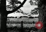Standbild landwirtschaftlichen Tätigkeiten Southville Kentucky USA, 1950, aus Sekunde 40 historischem Filmmaterial Videoclip 65675029785