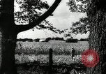 Standbild landwirtschaftlichen Tätigkeiten Southville Kentucky USA, 1950, aus Sekunde 41 historischem Filmmaterial Videoclip 65675029785