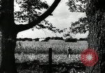 Standbild landwirtschaftlichen Tätigkeiten Southville Kentucky USA, 1950, aus Sekunde 42 historischem Filmmaterial Videoclip 65675029785