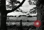Standbild landwirtschaftlichen Tätigkeiten Southville Kentucky USA, 1950, aus Sekunde 43 historischem Filmmaterial Videoclip 65675029785