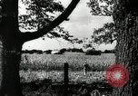 Standbild landwirtschaftlichen Tätigkeiten Southville Kentucky USA, 1950, aus Sekunde 44 historischem Filmmaterial Videoclip 65675029785