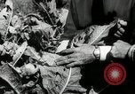 Standbild landwirtschaftlichen Tätigkeiten Southville Kentucky USA, 1950, aus Sekunde 57 historischem Filmmaterial Videoclip 65675029785