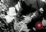 Standbild landwirtschaftlichen Tätigkeiten Southville Kentucky USA, 1950, aus Sekunde 58 historischem Filmmaterial Videoclip 65675029785