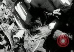 Standbild landwirtschaftlichen Tätigkeiten Southville Kentucky USA, 1950, aus Sekunde 60 historischem Filmmaterial Videoclip 65675029785