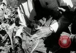 Standbild landwirtschaftlichen Tätigkeiten Southville Kentucky USA, 1950, aus Sekunde 61 historischem Filmmaterial Videoclip 65675029785