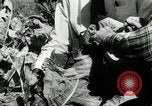 Standbild landwirtschaftlichen Tätigkeiten Southville Kentucky USA, 1950, aus Sekunde 62 historischem Filmmaterial Videoclip 65675029785