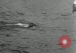 Immagine di Maratona di nuoto Toronto Ontario Canada, 1932, secondo 44 filmato di repertorio 65675029788