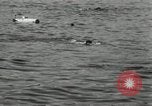 Immagine di Maratona di nuoto Toronto Ontario Canada, 1932, secondo 51 filmato di repertorio 65675029788