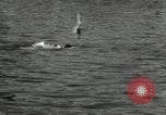 Immagine di Maratona di nuoto Toronto Ontario Canada, 1932, secondo 54 filmato di repertorio 65675029788