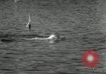 Immagine di Maratona di nuoto Toronto Ontario Canada, 1932, secondo 55 filmato di repertorio 65675029788