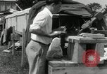 Image 'éclipse solaire United States USA, 1932, de la seconde 46 séquences d'archives historiques vidéo 65675029791