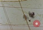 Image of Japanese Kamikaze Japan, 1945, second 12 stock footage video 65675029813