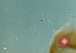 Image of Kamikaze Japan, 1945, second 32 stock footage video 65675029819