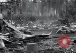 Image of explosion's aftermath Lacey Washington USA, 1934, second 21 stock footage video 65675029829