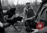 Image of explosion's aftermath Lacey Washington USA, 1934, second 39 stock footage video 65675029829