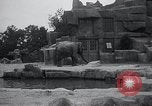 Immagine di Giardino zoologico Chicago Illinois USA, 1934, secondo 38 filmato di repertorio 65675029834