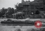 Immagine di Giardino zoologico Chicago Illinois USA, 1934, secondo 39 filmato di repertorio 65675029834