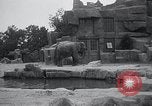 Immagine di Giardino zoologico Chicago Illinois USA, 1934, secondo 40 filmato di repertorio 65675029834