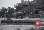 Immagine di Giardino zoologico Chicago Illinois USA, 1934, secondo 41 filmato di repertorio 65675029834