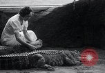 Immagine di Giardino zoologico Chicago Illinois USA, 1934, secondo 57 filmato di repertorio 65675029834
