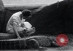 Immagine di Giardino zoologico Chicago Illinois USA, 1934, secondo 59 filmato di repertorio 65675029834