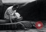 Immagine di Giardino zoologico Chicago Illinois USA, 1934, secondo 60 filmato di repertorio 65675029834