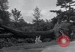 Image Tornado's suite Bangor Maine USA, 1934, de la seconde 35 séquences d'archives historiques vidéo 65675029836
