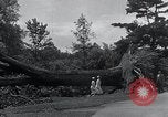 Image Tornado's suite Bangor Maine USA, 1934, de la seconde 36 séquences d'archives historiques vidéo 65675029836