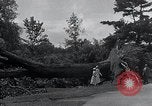 Image Tornado's suite Bangor Maine USA, 1934, de la seconde 37 séquences d'archives historiques vidéo 65675029836