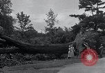 Image Tornado's suite Bangor Maine USA, 1934, de la seconde 38 séquences d'archives historiques vidéo 65675029836