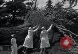 Image Tornado's suite Bangor Maine USA, 1934, de la seconde 40 séquences d'archives historiques vidéo 65675029836