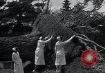 Image Tornado's suite Bangor Maine USA, 1934, de la seconde 41 séquences d'archives historiques vidéo 65675029836