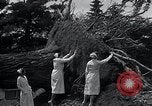 Image Tornado's suite Bangor Maine USA, 1934, de la seconde 42 séquences d'archives historiques vidéo 65675029836