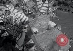Immagine di Gara di Dragon Boat Shanghai in Cina, 1934, secondo 32 filmato di repertorio 65675029841