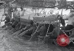 Immagine di Gara di Dragon Boat Shanghai in Cina, 1934, secondo 39 filmato di repertorio 65675029841