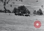 Immagine di Buffalo americana Round-up South Dakota United States USA, 1934, secondo 22 filmato di repertorio 65675029846