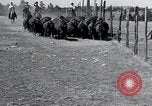 Immagine di Buffalo americana Round-up South Dakota United States USA, 1934, secondo 26 filmato di repertorio 65675029846