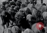 Immagine di Buffalo americana Round-up South Dakota United States USA, 1934, secondo 29 filmato di repertorio 65675029846