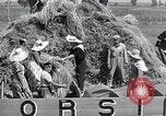 Immagine di Benito Mussolini Di Littoria Italia, 1934, secondo 15 filmato di repertorio 65675029847
