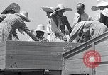Immagine di Benito Mussolini Di Littoria Italia, 1934, secondo 23 filmato di repertorio 65675029847
