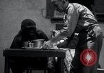 Image of trained gorilla bank robbery Cincinnati Ohio USA, 1934, second 3 stock footage video 65675029855