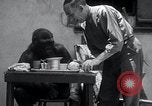 Image of trained gorilla bank robbery Cincinnati Ohio USA, 1934, second 5 stock footage video 65675029855