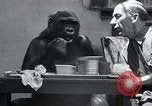 Image of trained gorilla bank robbery Cincinnati Ohio USA, 1934, second 8 stock footage video 65675029855