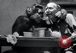 Image of trained gorilla bank robbery Cincinnati Ohio USA, 1934, second 18 stock footage video 65675029855