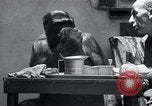 Image of trained gorilla bank robbery Cincinnati Ohio USA, 1934, second 30 stock footage video 65675029855