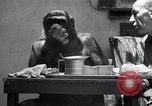 Image of trained gorilla bank robbery Cincinnati Ohio USA, 1934, second 31 stock footage video 65675029855