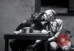 Image of trained gorilla bank robbery Cincinnati Ohio USA, 1934, second 34 stock footage video 65675029855