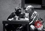 Image of trained gorilla bank robbery Cincinnati Ohio USA, 1934, second 35 stock footage video 65675029855