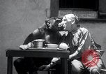 Image of trained gorilla bank robbery Cincinnati Ohio USA, 1934, second 36 stock footage video 65675029855
